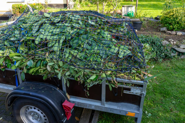 Best Shed Removal  in Dillsboro, IN